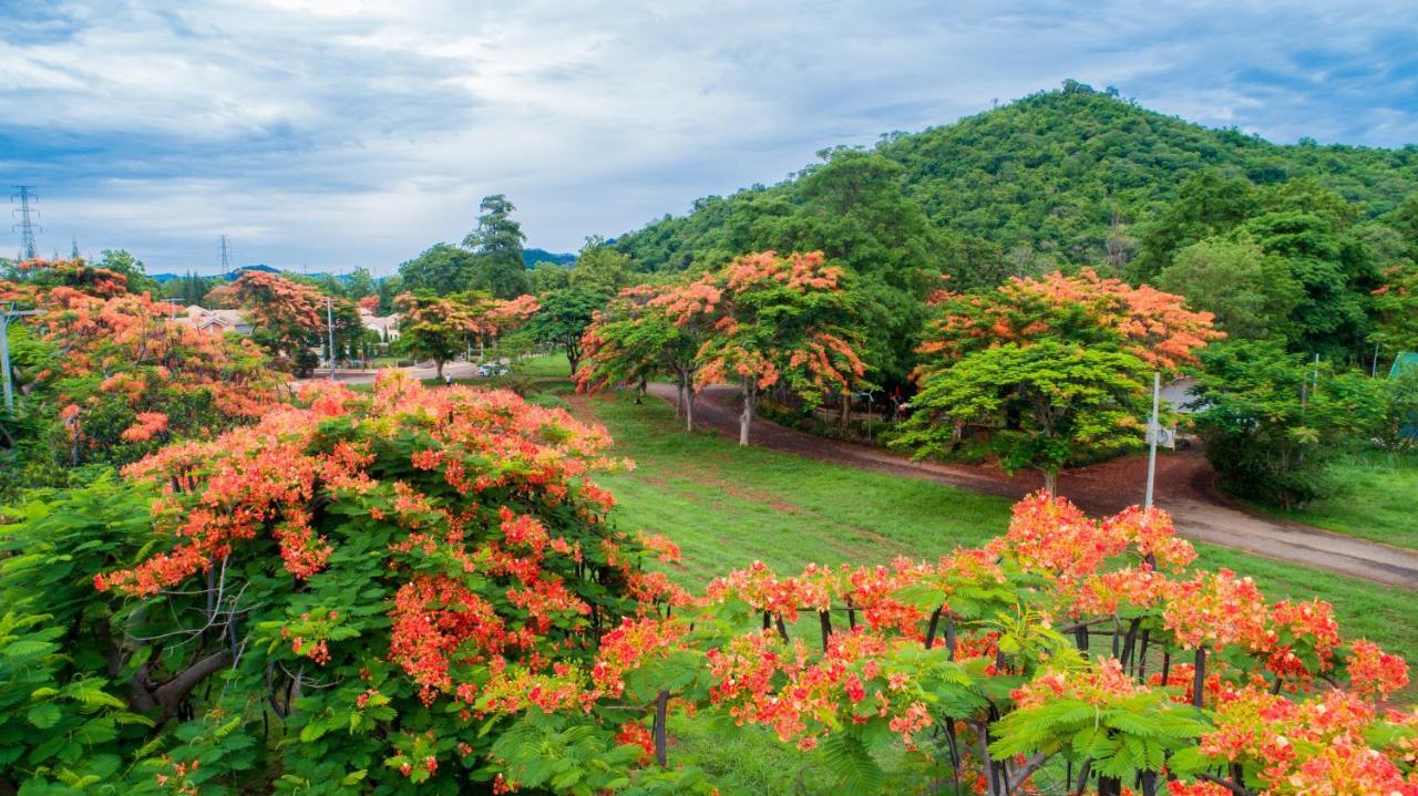 Diamond Hill Resort Nong Nam Daeng Dış mekan fotoğraf