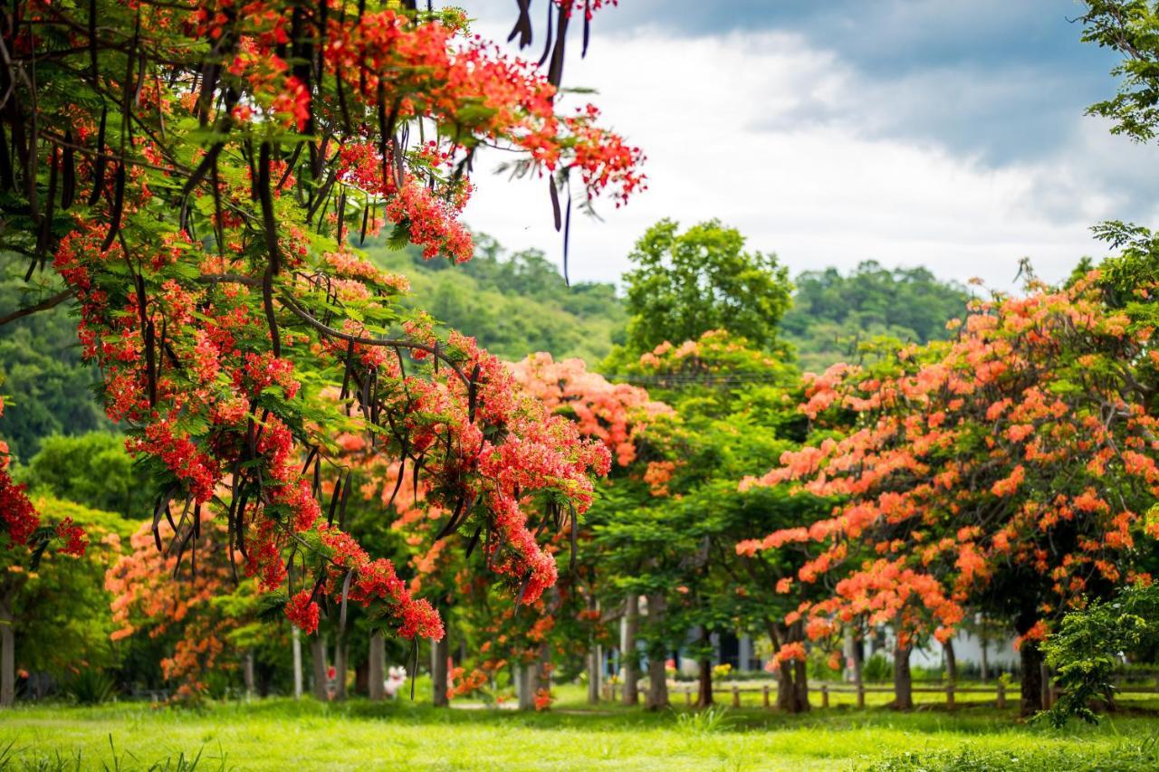 Diamond Hill Resort Nong Nam Daeng Dış mekan fotoğraf